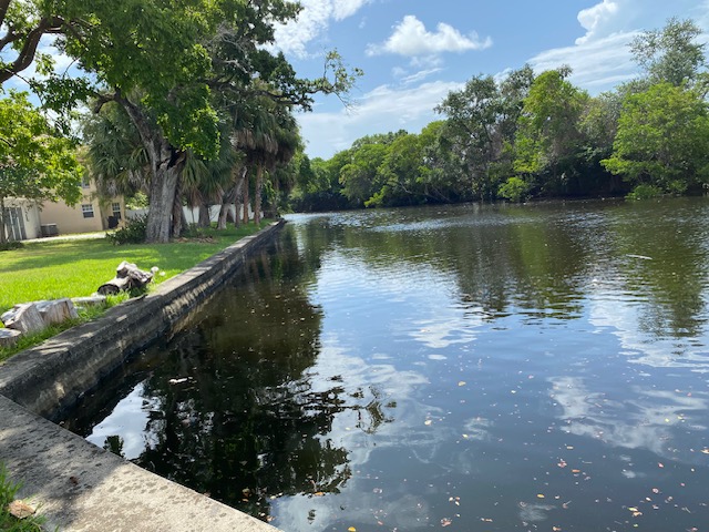 North Fork of the New River looking west through Sweeting Estates